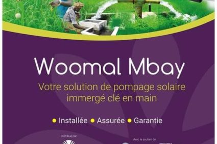 Projet  Woomal Mbay, : Une solution de pompage et d’irrigation solaire connectée