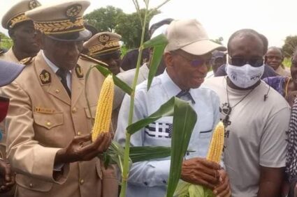 Tournée Agricole Hivernale du Ministre de  l’Agriculture et l’Equipement Rural (Maer): les premières récoltes de Maîs se confirment Tamba après Kolda