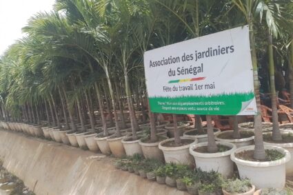 La Fête du Travail 1er Mai2024: Une journée de solidarité et de reconnaissance des métiers de jardinier à Keur Yoff (rte de l’ancien Aéroport) animée par  l’Association des Jardiniers du Sénégal