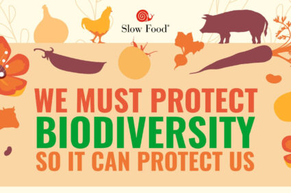 La Journée internationale de la diversité biologique ce 22 Mai: »protégeons la biodiversité du changement climatique avant de la célébrer » – « Nous devons affronter le changement climatique et nous engager sérieusement à en inverser la tendance » déclare M. Edward Mukiibi, Président de Slow Food.
