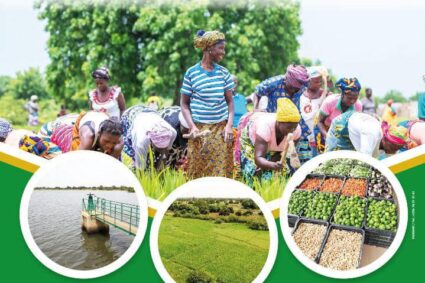 39e Journée du CILSS – 12 septembre 2024 – Thème : «Des systèmes irrigués performants et durables pour une agriculture résiliente aux changements climatiques, contribuant à la sécurité alimentaire et nutritionnelle, ainsi qu’à la croissance économique au Sahel et en Afrique de l’Ouest »