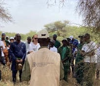 Projet Knowledge for Great Green Wall Action (K4GGWA) : La FAO , vers le renforcement des capacités techniques et la mobilisation des ressources pour aider la Grande Muraille Verte(GMV)  à atteindre ses objectifs d’ici 2030.