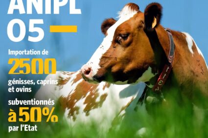 La signature de la  convention entre l’Association nationale pour l’intensification de la production laitière au Sénégal (ANIPL) et le ministère de l’Agriculture, de la Souveraineté alimentaire et de l’Elevage dans le cadre de la politique d’acquisition d’animaux à haut potentiel laitier.(Opération ANIPL5-B