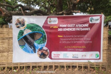 La 8éme édition de  la 8ème édition de la Foire Ouest Africaine de Semences Paysannes de Djimini (FOASP Djimini  2024) du 12 au 14 novembre 2024 à Vélingara dans la région de Kolda: »il ne s’agit pas d’une Foire commerciale mais plutôt d’une Foire d’échanges pour les militants  de la semence paysanne qui la considère comme un don  de dieu naturel hétérogène et non vendable estime M. Alioune Ndiaye Coordinateur de l’Association Sénégalaise des Producteurs de Semences Paysannes(ASPSP).