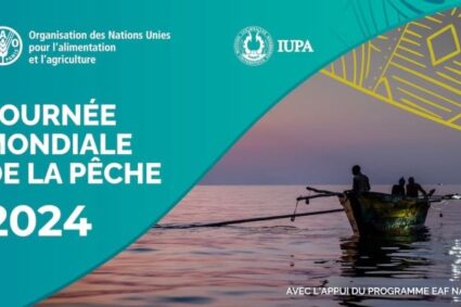 La journée mondiale de la pêche ce 21 Novembre 2024 au Sénégal sous le thème  »  échanger sur les 10 ans des Directives de la pêche artisanale durable et du Cadre Politique et la Stratégie de Réforme de la pêche et de l’aquaculture en Afrique, quelles perspectives pour leur mise en œuvre ?