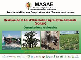 Les consultations  régionales  sur la révision et l’actualisation  de la LOASP : démarrage dans la  région de Saint Louis , le Département de Podor abrite la rencontre de Consultations.