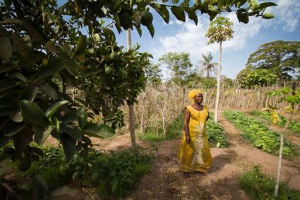 « Agroécologie, Genre et Dynamiques territoriales » : Une matinée d’échanges», organisée par le Bureau  d’Analyses Macro-Economiques de l’Institut Sénégalais de Recherches Agricoles (ISRA-BAME), en partenariat avec la Dynamique pour la Transition Agro Écologique Locale (DyTAEL) de Fatick  ce 3 Décembre 2024 au Monument de la Renaissance Africaine à Dakar, en marge de la Biennale de l’Art Africain  Contemporain.