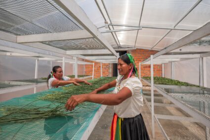 Le FIDA à la COP30 Bélem -Brésil : l’intérêt économique à investir dans l’adaptation climatique est indéniable