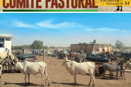 Situation pastorale : une baisse de la FVR, mais des feux de brousse et un déficit fourrager inquiètent – Le Bulletin d’Information Pastorale n°54 de décembre 2025 .