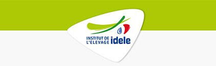 Hausse des cellules somatiques et des mammites cliniques dans les troupeaux laitiers entre 2020 et 2024