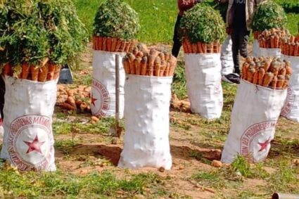 Attractivité de l’agriculture et de l’élevage: Quand les jeunes deviennent des accélérateurs de changement au Sénégal !!!!