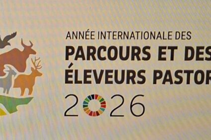 Année internationale des parcours et des éleveurs pastoraux 2026 : la FAO dévoile le calendrier des principales activités.