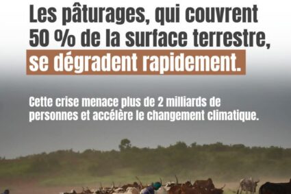 Appel mondial : VSF International (Vétérinaires Sans Frontiéres)  plaide pour la reconnaissance des pastoralistes et la protection des pâturages.