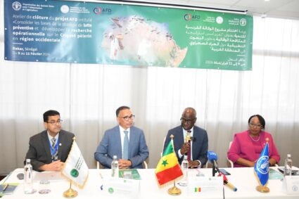 Urgence acridienne : la situation sous contrôle au nord du Sénégal, mais le risque demeure élevé, la Direction de la protection des végétaux (DPV) met en place un dispositif de surveillance et de lutte précoce afin de contenir la propagation du ravageur.