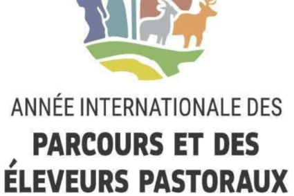 Edito de Baba -Pastoralisme : au Salon de l’Agriculture, un modèle d’avenir face aux crises climatiques et territoriales.