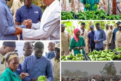 Tambacounda : le Groupe Yellitaare, un levier stratégique de souveraineté alimentaire et de croissance économique.