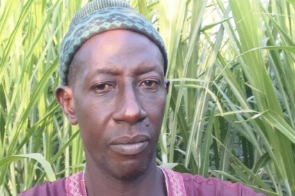 Déaly -Linguère : la culture fourragère, une réponse durable aux défis du pastoralisme, Focus sur le Périmétre Fourrager de Dady Kâ à Déaly dans le Département de Linguére .