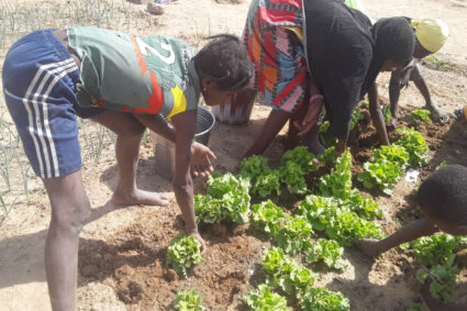 La Plateforme pour la souveraineté alimentaire (PSA): un webinaire pour intégrer l’agroécologie dans l’éducation et renforcer la souveraineté alimentaire ;parmi les intervenants figure la Sénégalaise Khady Thiané Ndoye, chargée du programme « Accès durable à une alimentation saine et nutritive » à CICODEV Afrique