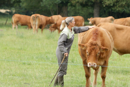 Année Internationale des Agricultrices 2026 : la FAO appelle à réduire les inégalités de genre dans les systèmes agroalimentaires.