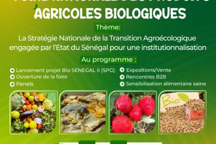 Foire Nationale des Produits Agricoles Biologiques 2026 : Thiès accueille les 15 et 16 Mai 2026 une vitrine de la transition agroécologique au Sénégal au Marché Bio- 10 éme sous le thème : « La stratégie nationale de la transition agroécologique engagée par l’État du Sénégal pour une institutionnalisation durable du secteur »