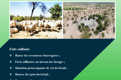 Bulletin pastoral n°58 du mois d’avril 2026: pression accrue sur les ressources fourragères, forte chaleur attendue et vigilance sanitaire renforcée.