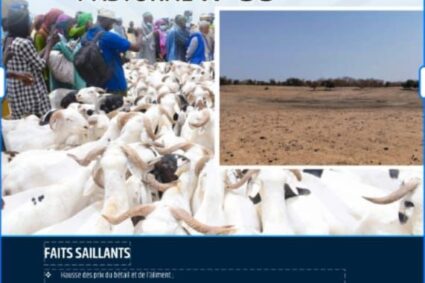 Le Bulletin d’Informations Pastorales (BIP) n°59.de mai 2026 : saison des pluies incertaine, déficit fourrager et hausse des prix du bétail au Sénégal.