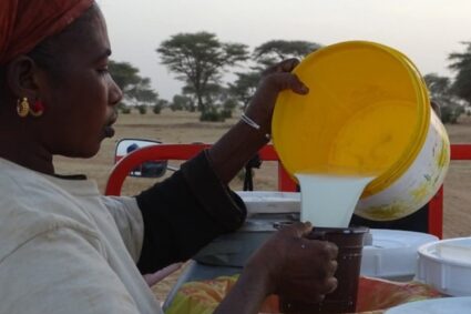 Le Sénégal accueille la 5ᵉ édition des Rencontres internationales « Lait, vecteur de développement ».