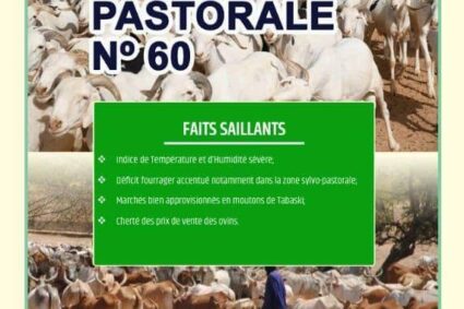 Bulletin d’Informations Pastorales N°60 Juin 2026 : Une soudure marquée par un déficit fourrager et une forte pression sur les ressources pastorales.