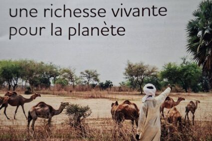 Journée internationale du pastoralisme : le Burkina Faso met en avant les Jeunes Ambassadeurs du Pastoralisme (JAP).