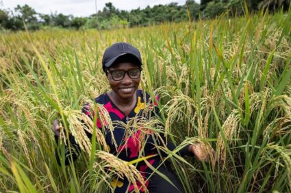 Sécurité alimentaire en Afrique : AfricaRice et l&rsquo;AATF scellent un partenariat stratégique de cinq ans pour accélérer la transformation de la filière rizicole.