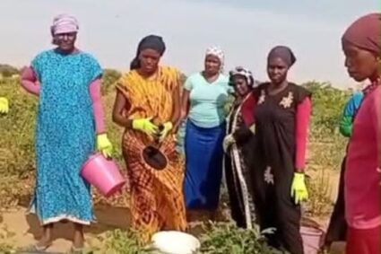 Nomination de Coumba Gawlo Seck comme Championne de la FAO : une décision qui interroge??