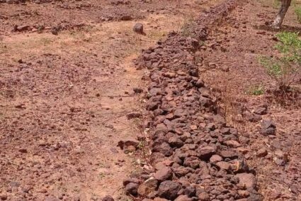 De New Delhi 2019 à Oulan-Bator 2026 : les Conventions de Rio renforcent leur synergie face aux crises du climat, des terres et de la biodiversité, Dakar remet la synergie entre les trois Conventions de Rio au premier plan a travers la 5ᵉ édition de la Semaine Climat-Énergie .