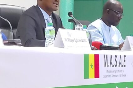 L&rsquo;atelier de partage du bilan 2025 et de planification des programmes semenciers 2026 de l&rsquo;Institut Sénégalais de Recherches Agricoles (ISRA): le Sénégal mise sur un système semencier plus performant pour accélérer sa souveraineté alimentaire.