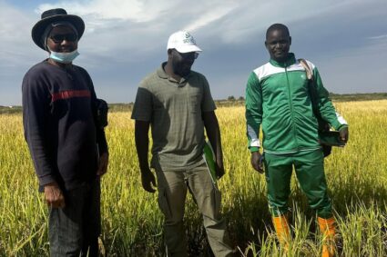 Bio SoilZ : une révolution biologique pour la régénération des sols en Afrique.