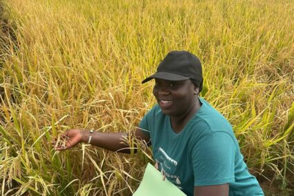 fertilizers provide only a limited number of them. By restoring biological life in the soil,Bio.SoilZ helps naturally mobilize the full spectrum of nutrients.