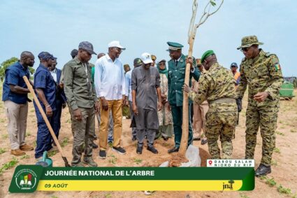 43éme édition de la Journée de l&rsquo;Arbre 2026: Le Néré et le Moringa, deux arbres parrains.