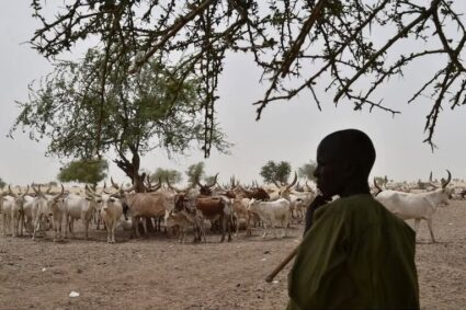 Pastoralisme : le CILSS et ses partenaires plaident pour un investissement accru en faveur de la jeunesse pastorale« Investir dans la jeunesse pastorale : un moteur de résilience, d’emploi et de paix »