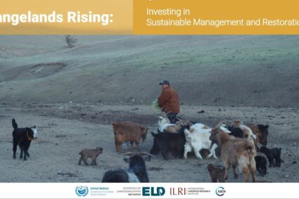 COP17 Oulan-Bator 2026 : Lancement Officiel du  «  Rapport  Rangelands Rising » appel  à changer de regard sur les parcours et à investir dans leur avenir .