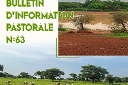 Des conditions favorables de la situation pastorale au Sénégal « note le Bulletin d’Informations Pastorales N°63 Sept2026.