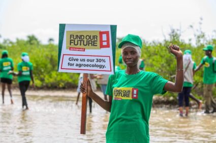 Djirnda : ActionAid Sénégal mobilise les communautés pour restaurer 5 hectares de mangrove .