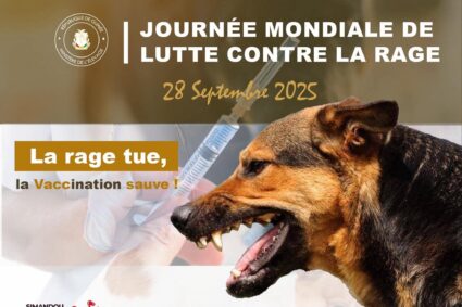 Le 28 septembre, la Journée mondiale contre la rage rappelle une évidence : la vaccination et la prise en charge rapide après une morsure peuvent sauver des vies