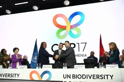 COP17 Biodiversité Erevan Armenie2026; L&rsquo;ouverture officielle de la Conférence sur la biodiversité de l&rsquo;ONU 2026 .