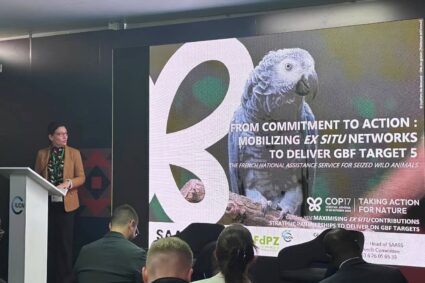 COP17 Biodiversité à Erevan : les zoos et aquariums renforcent leurs partenariats pour la conservation des espèces.
