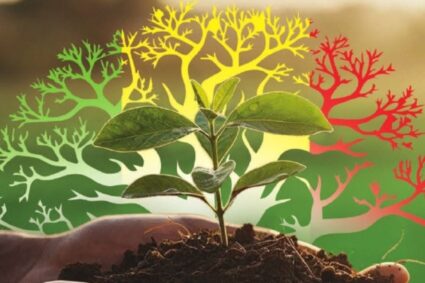 Taxonomie verte du Sénégal : l’expertise nationale, un levier stratégique pour réussir la finance durable.